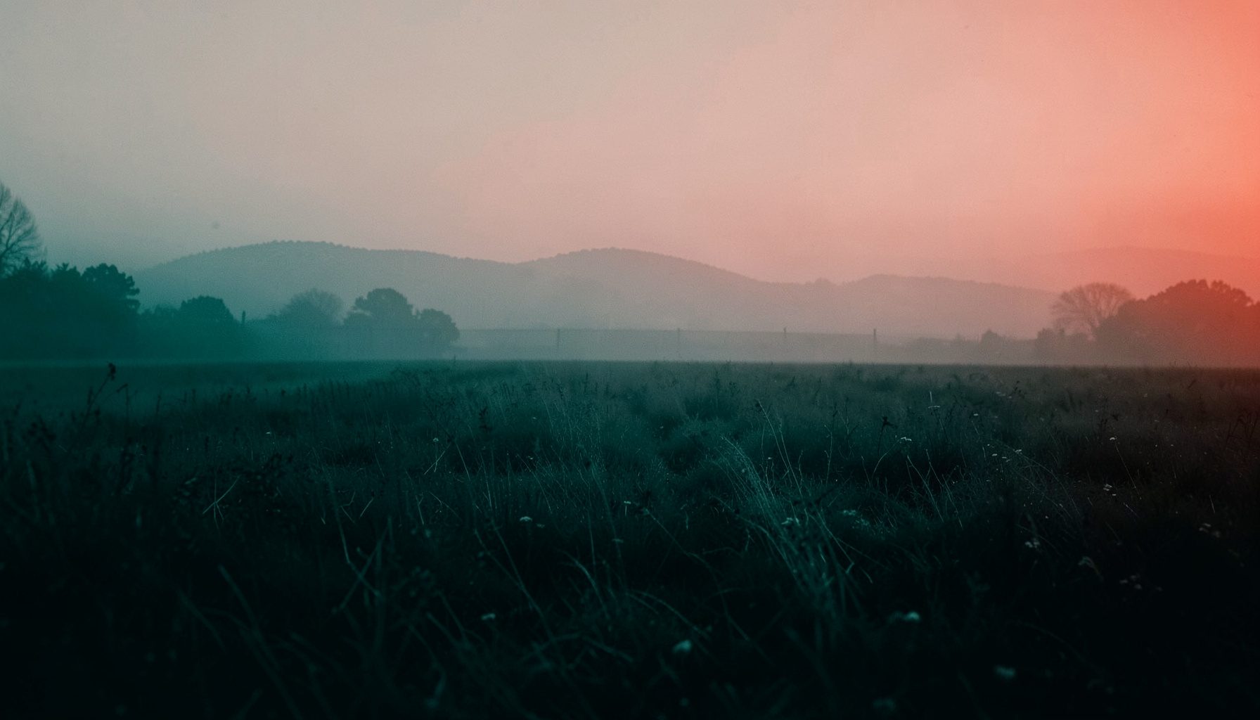 Soft duotone photograph of a misty field at dawn rendered in deep teal and warm coral, calm and atmospheric